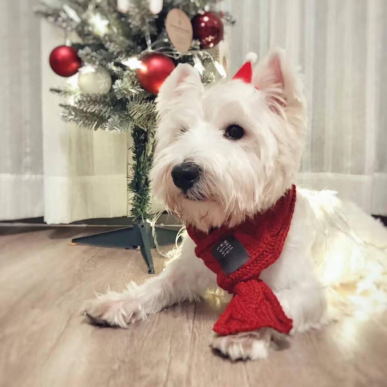 Cute Knitted Pet Scarf - Stylish Doggie & Cat Neckerchief