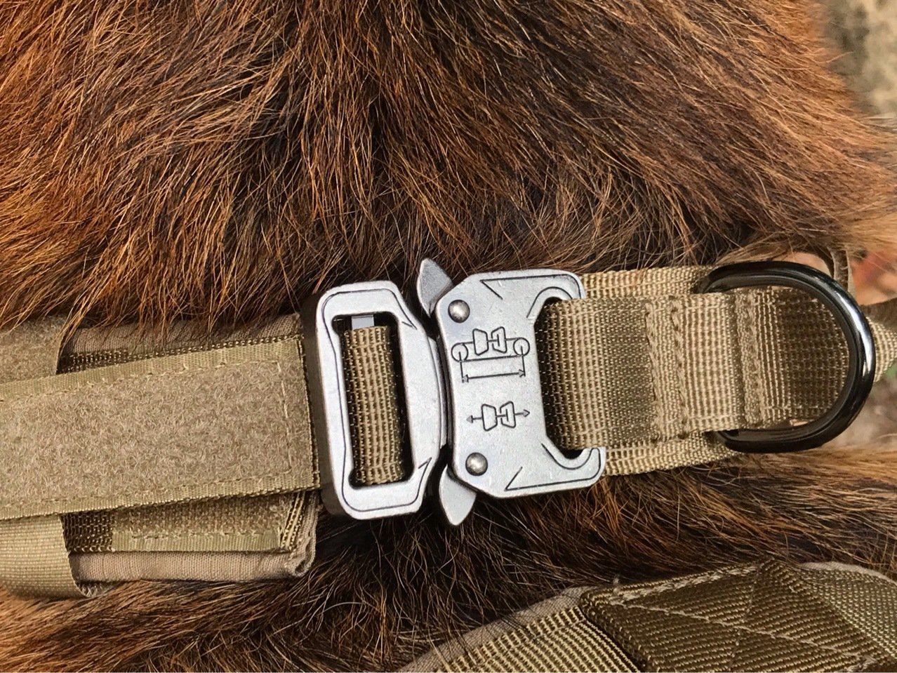 Heavy-Duty Tactical Dog Collar - Adjustable Military-Grade with Control Handle