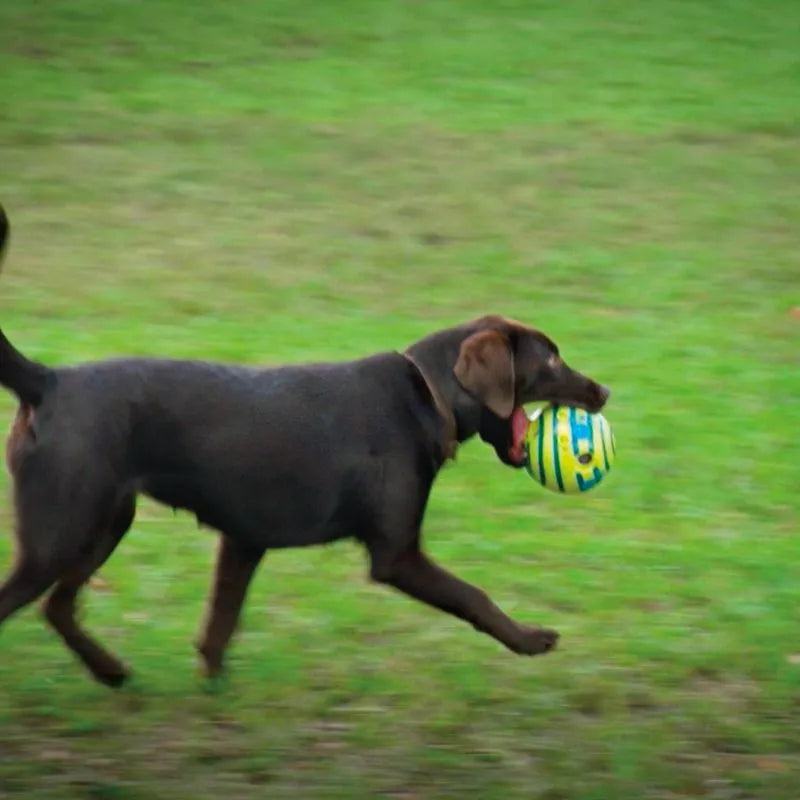 The Wobble Wag Giggle Ball - Interactive Rolling Dog Toy
