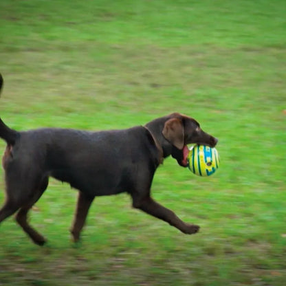 The Wobble Wag Giggle Ball - Interactive Rolling Dog Toy