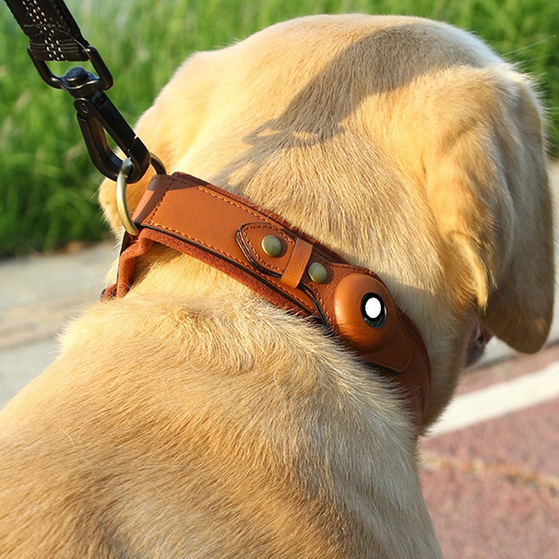 Luxury Leather Anti-Lost Dog Collar - Airtag Compatible & Padded