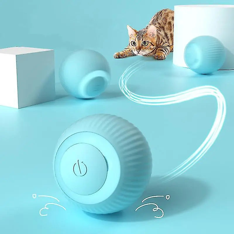 Power Ball 2.0 Smart Rolling Cat Toy - USB Rechargeable (Pink & Blue)