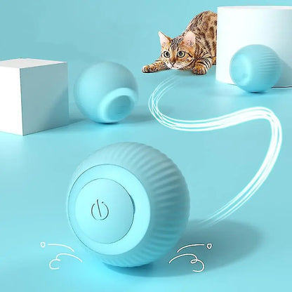 Power Ball 2.0 Smart Rolling Cat Toy - USB Rechargeable (Pink & Blue)