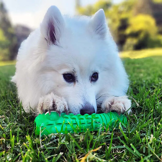 Tough Alligator Dog Chew Toy - Dental Cleaning for Aggressive Chewers