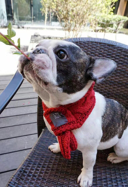 Cute Knitted Pet Scarf - Stylish Doggie & Cat Neckerchief
