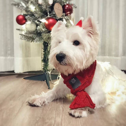 Cute Knitted Pet Scarf - Stylish Doggie & Cat Neckerchief