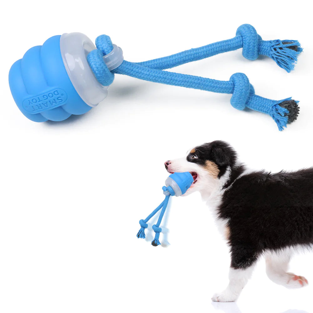 Smart Rolling Dog Ball - USB Rechargeable Interactive Squeaky Toy