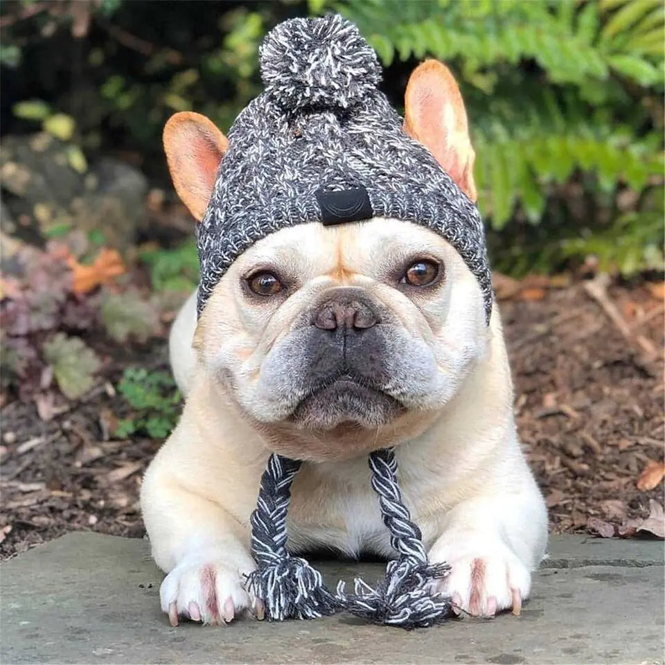 Cozy Pet Winter Hat with Ear Holes - Knitted Windproof Cap for Dogs & Cats
