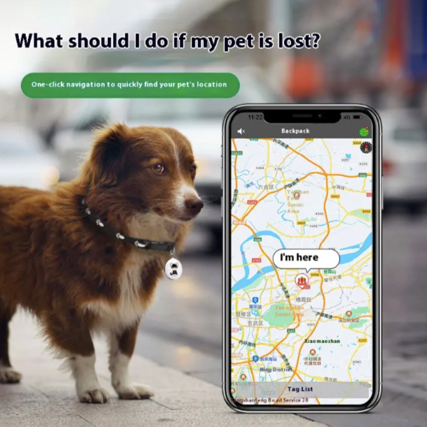 Subscription-Free Pet GPS Tracker - Real-Time Locator (No SIM Required)