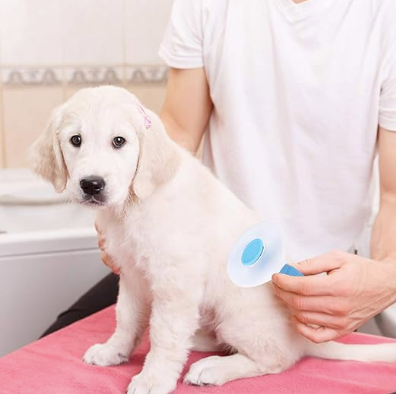 Self-Cleaning Deshedding Brush for Dogs & Cats