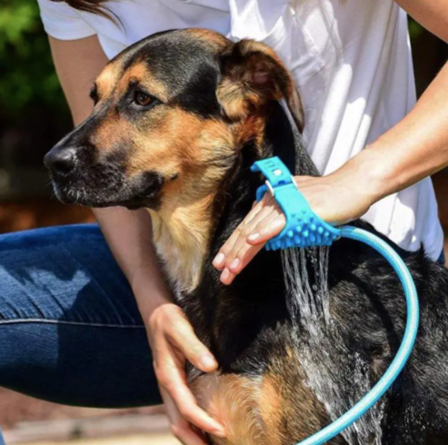2-in-1 Pet Shower Sprayer & Brush - Easy Bathing for Dogs & Cats