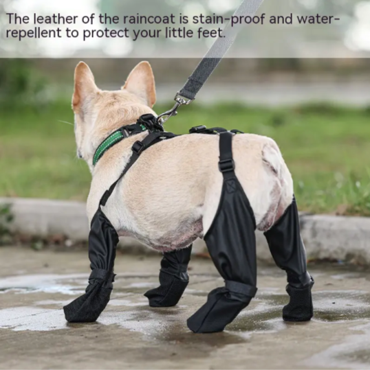 Waterproof Dog Boots & Leggings with Harness - Anti-Slip Paw Protector