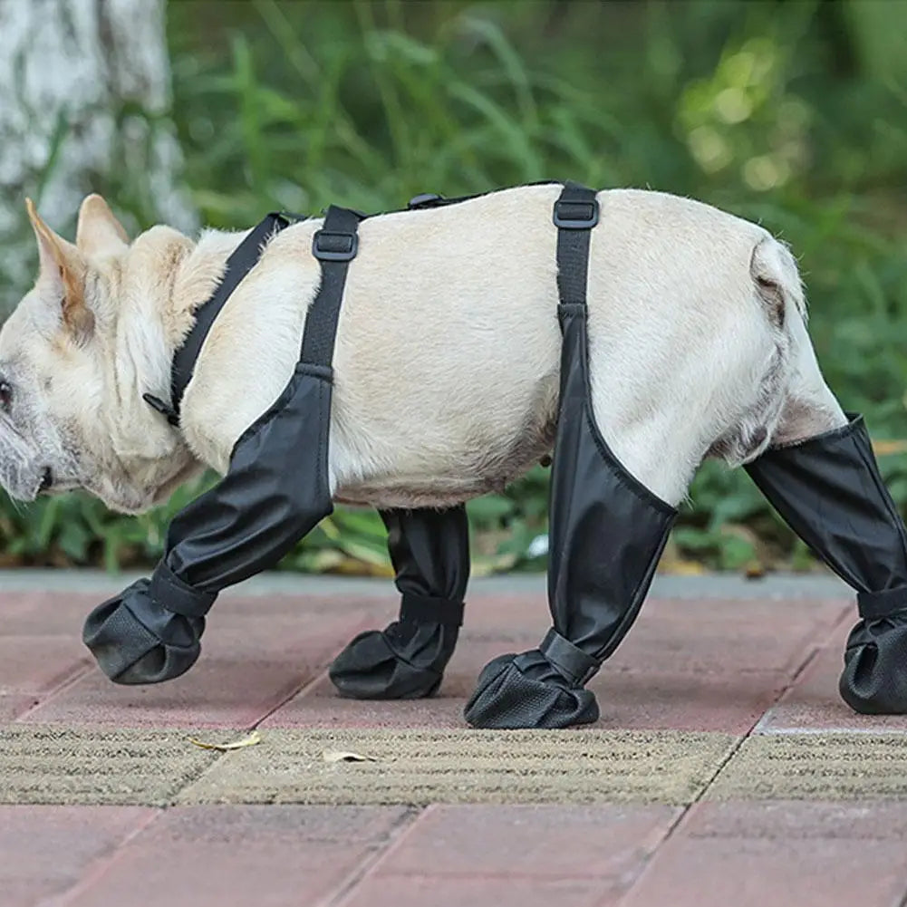 Waterproof Dog Boots & Leggings with Harness - Anti-Slip Paw Protector