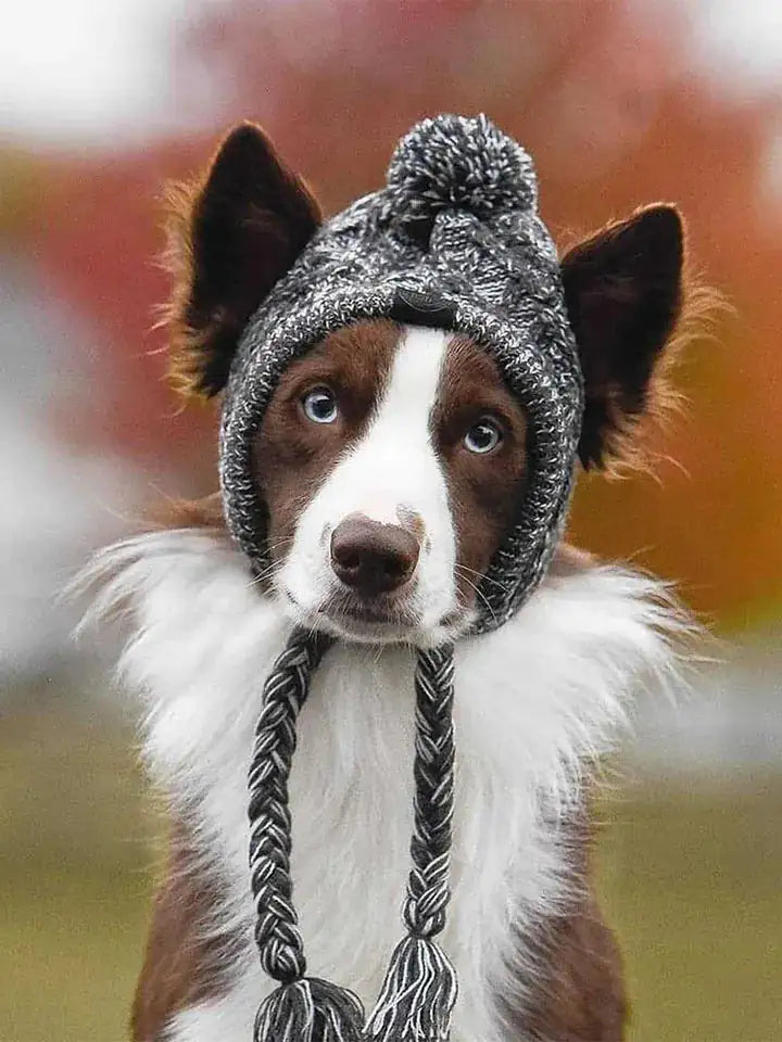 Cozy Pet Winter Hat with Ear Holes - Knitted Windproof Cap for Dogs & Cats
