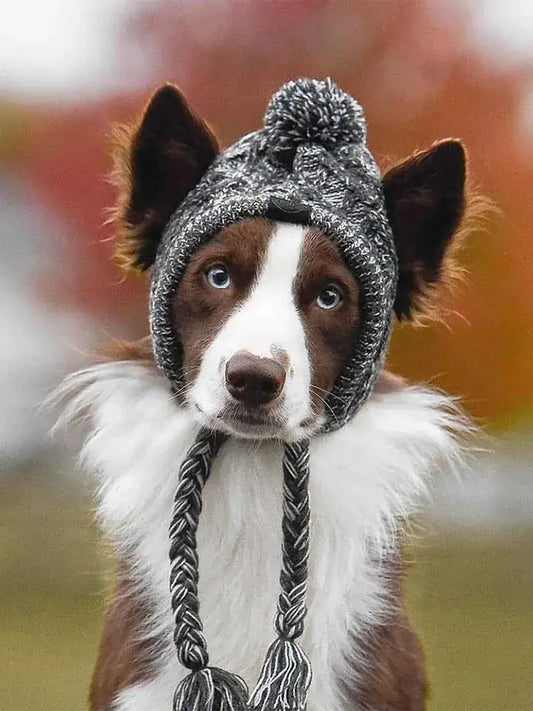 Cozy Pet Winter Hat with Ear Holes - Knitted Windproof Cap for Dogs & Cats