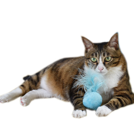 Interactive Voice-Activated Catnip Ball Toy with Feathers