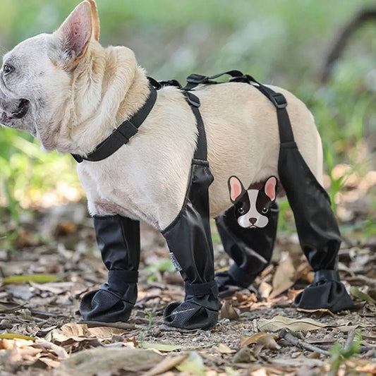 Waterproof Dog Boots & Leggings with Harness - Anti-Slip Paw Protector
